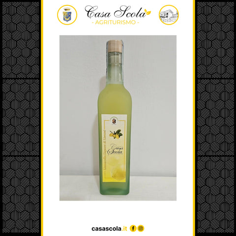 Liquore di Limoni 0,50 lt