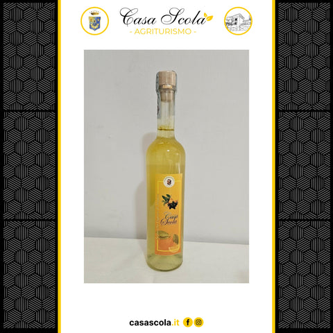 Liquore di  Arance 0,50 lt